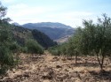 0_4233014_632696.jpg